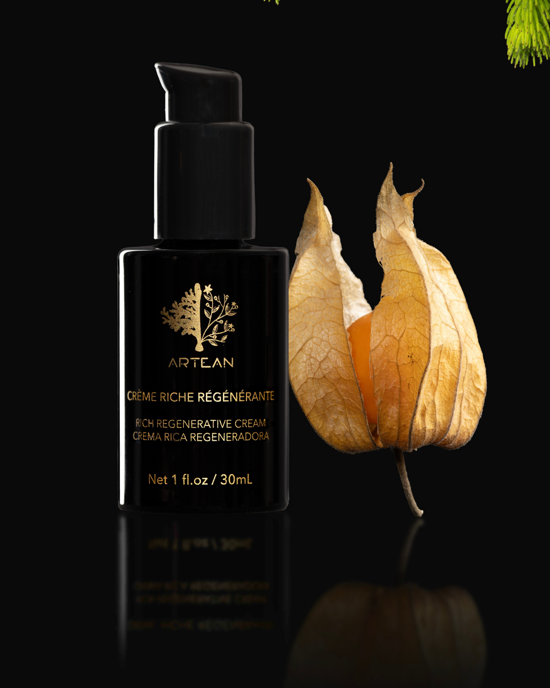 artean skincare crème régénératrice